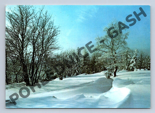 Pohlednice Zimní krajina ČSSR novoroční přání 1971 (M1344)