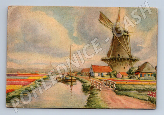 Pohlednice Větrný mlýn, tulipány, kanál (M13455)