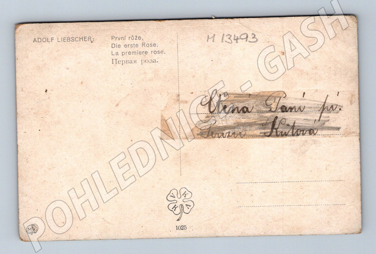 Pohlednice První růže Adolf Liebscher (M13493)