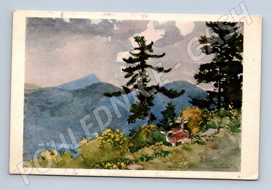 Pohlednice North Woods Club, Adirondacks (M13535)