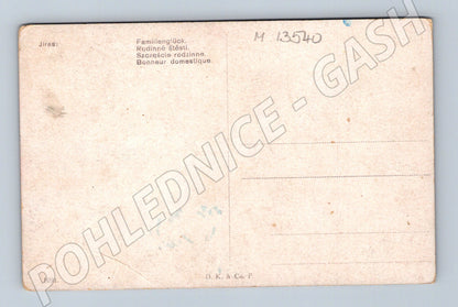 Pohlednice Rodinné štěstí D.K. Co. P. č. 1091 (M13540)
