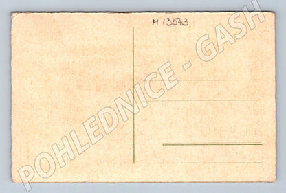 Pohlednice ženy v interiéru (M13543)