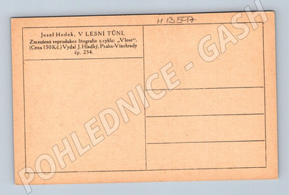 Pohlednice V lesní tůni (Josef Hodek, M13597)