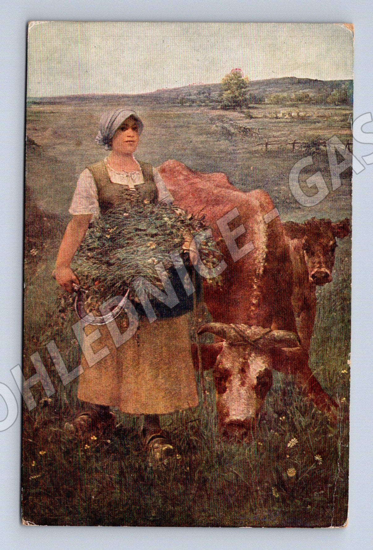 Pohlednice Na pastvě  F. Staněk, J. Plichta (M13600)