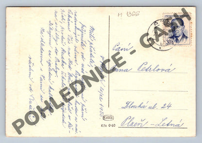 Pohlednice Vánoční ČSR 1951 Veselé Vánoce zasněžená větev (M1366)