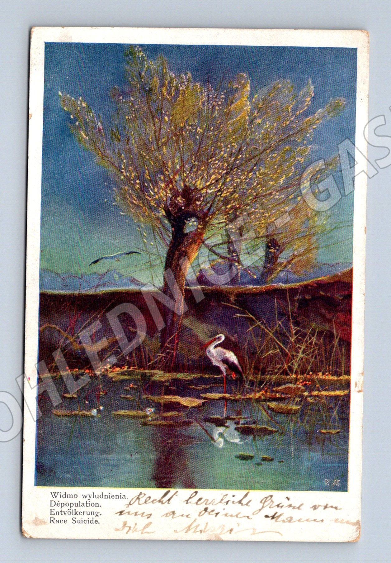 Pohlednice jezero s labutěmi kolorovaná (M13721)