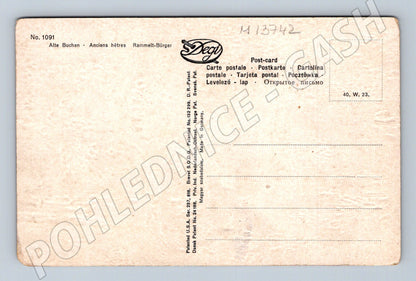 Pohlednice Stará pohlednice Alte Buchen (M13742)