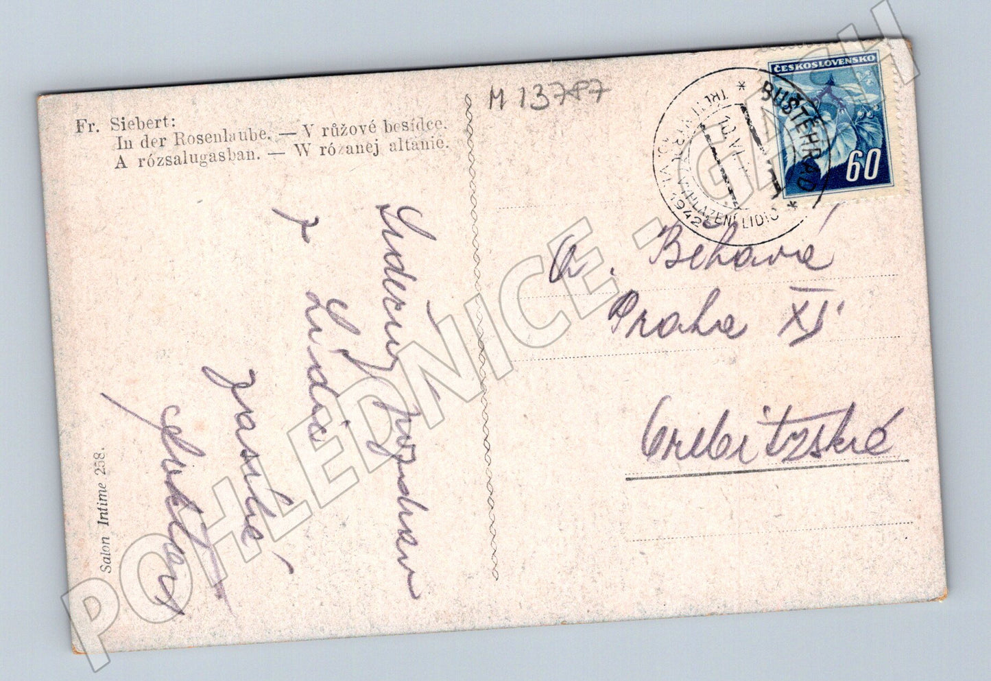 Pohlednice V růžové besídce (M13787)