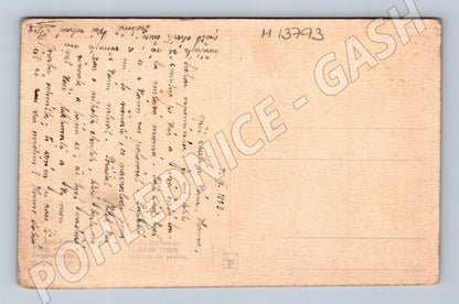Pohlednice kočár tažený koňmi 1923 (M13793)