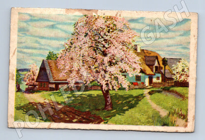 Pohlednice Starý malovaný motiv chalupa, strom v květu (M13797)