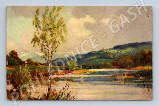 Pohlednice Švýcarsko Altenrhein & Walzenhausen (M13802)