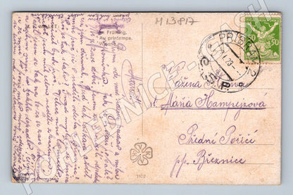Pohlednice Česká krajina s ovcem (1923)