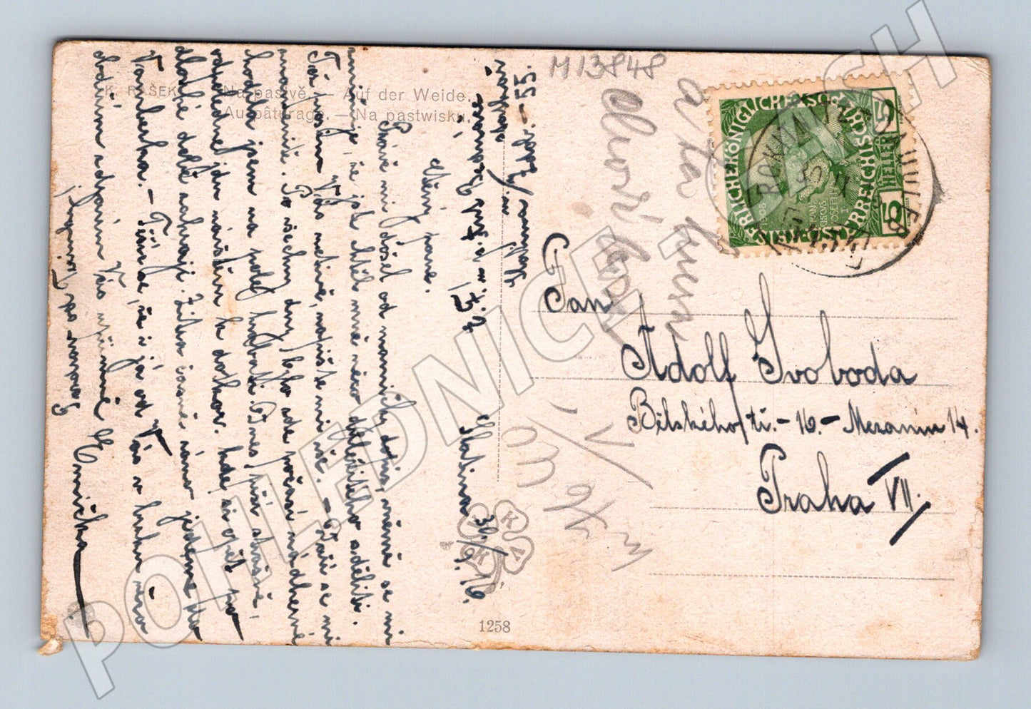 Pohlednice husy na louce venkovský motiv (M13848)