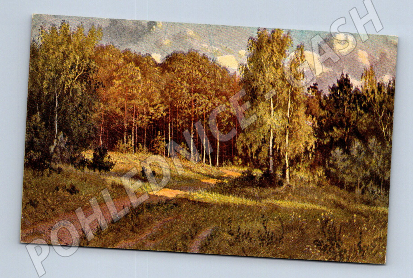Pohlednice malířská krajina lesní cesta neprošlá (M13872)