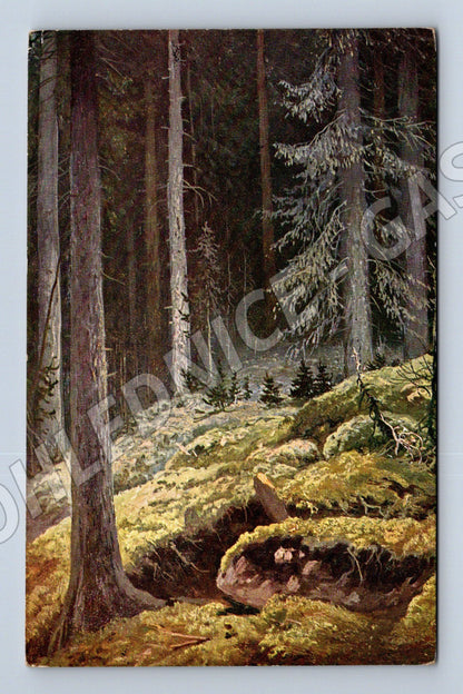 Pohlednice Šiškin Les A. J. Ostrowski Polsko (M13874)