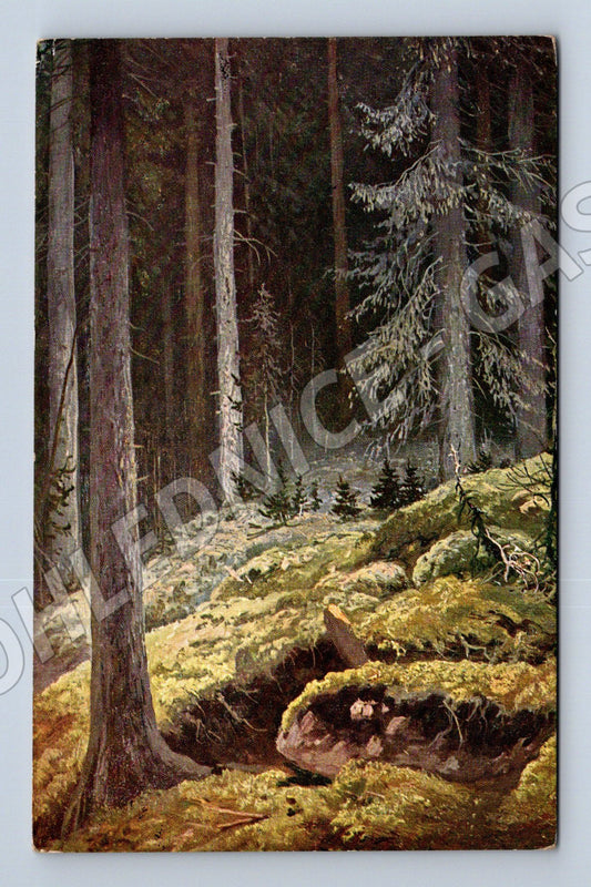 Pohlednice Šiškin Les A. J. Ostrowski Polsko (M13874)