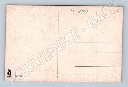 Pohlednice interiér s dvojicí No. 527 umělecká (M13907)