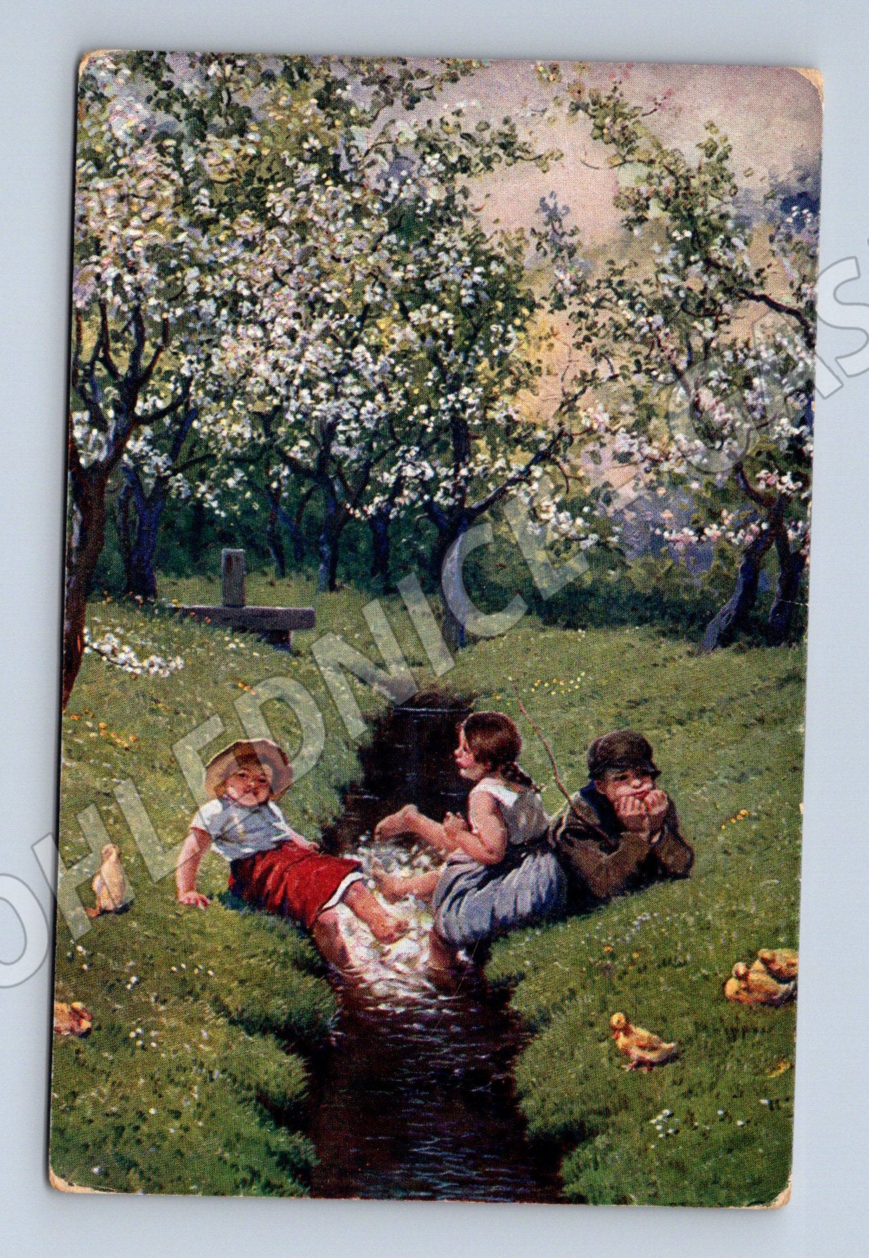 Pohlednice U potůčku – Adolf Liebscher, děti (M13951)