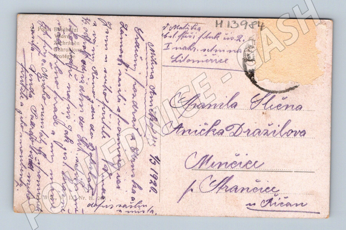 Pohlednice Malířský motiv – podpis S. Pallí (M13984)