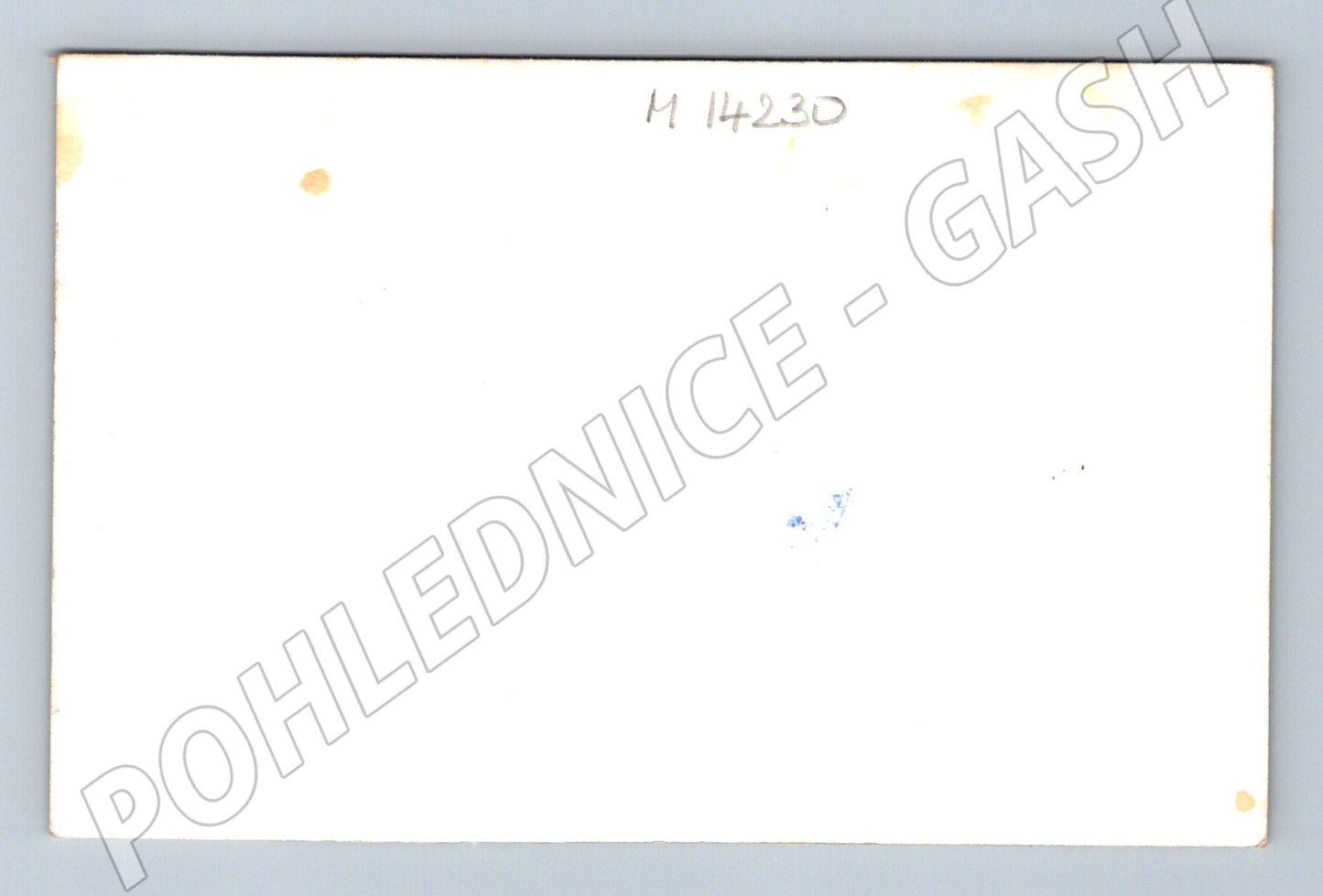 Pohlednice skupina mužů v uniformách – dobové foto (M14230)