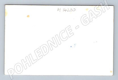 Pohlednice skupina mužů v uniformách – dobové foto (M14230)