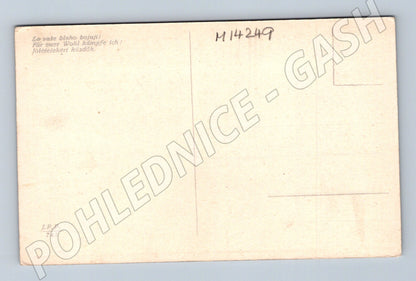 Pohlednice Za vaše blaho bojuji! – historická scéna (M14249)