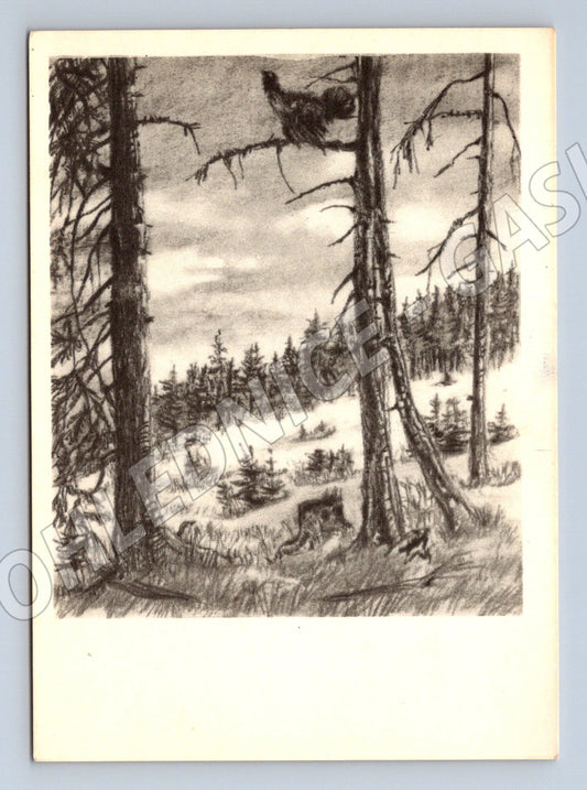 Pohlednice Pozvánka na hon – kresba A. Paderlík (M14258)