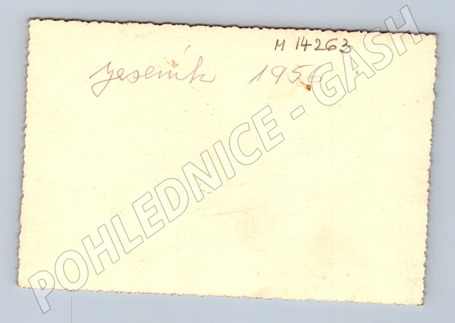 Pohlednice Jelen Jeseník 1956 (M14263)