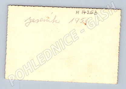 Pohlednice Jelen Jeseník 1956 (M14263)
