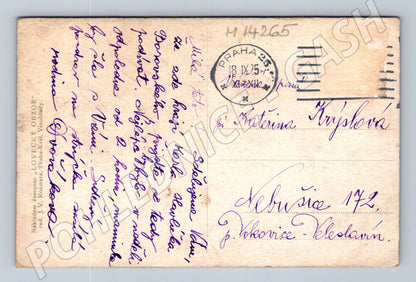 Pohlednice divoké koroptve v přírodě (M14265)