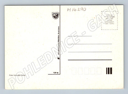 Pohlednice Chodské kroje Etnografie (M14290)