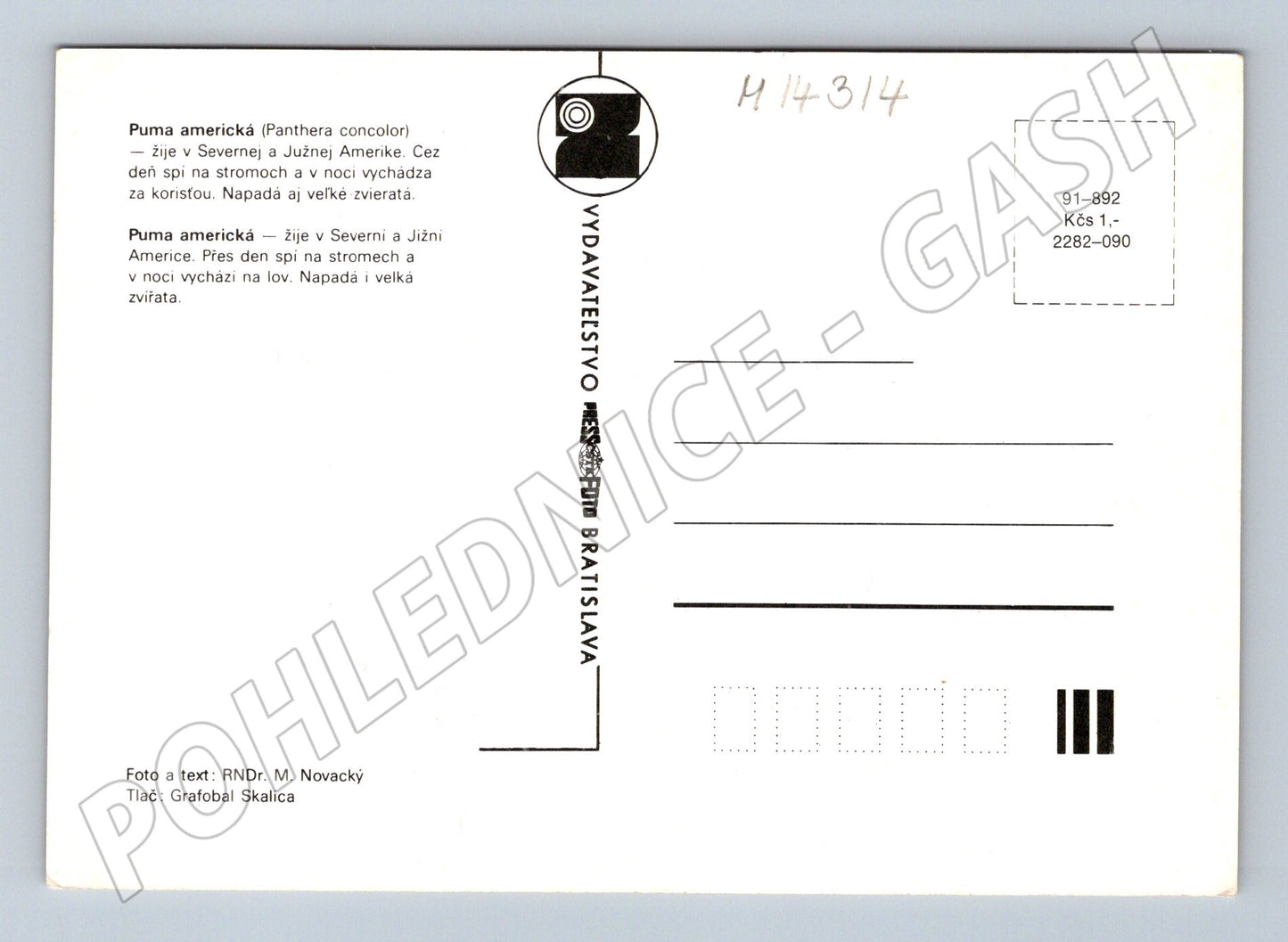 Pohlednice Puma americká (M14314) – Pressfoto Bratislava