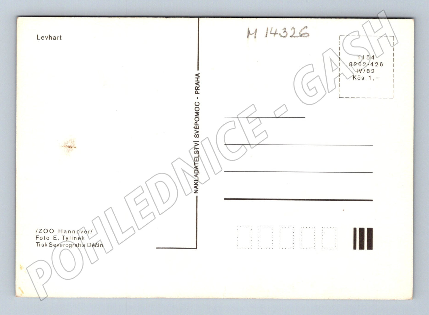 Pohlednice Levhart ZOO Hannover 1982 (M14326)