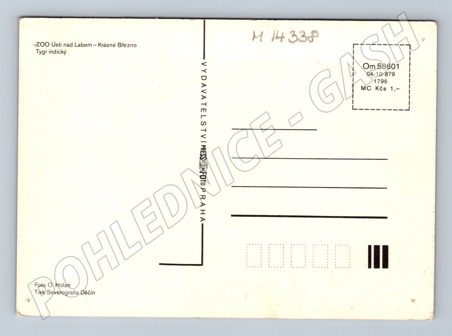 Pohlednice Tygr indický ZOO Ústí nad Labem (M14338)