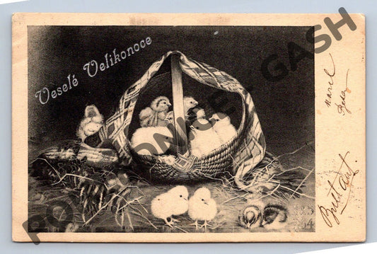 Pohlednice Velikonoční kuřátka 1910 (M1435)