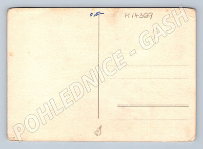 Pohlednice Všesokolský slet Praha 1948 (M14369)