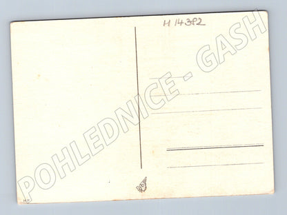 Pohlednice XII. všesokolský slet Praha 1948 – ilustrace (M14382)