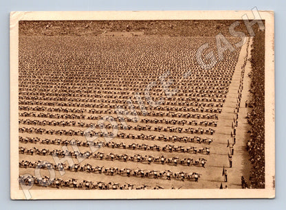 Pohlednice Všesokolský slet Praha 1938 – dorost, razítko (M14386)