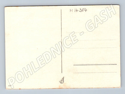 Pohlednice XI. všesokolský slet Praha 1948 – kresba (M14387)