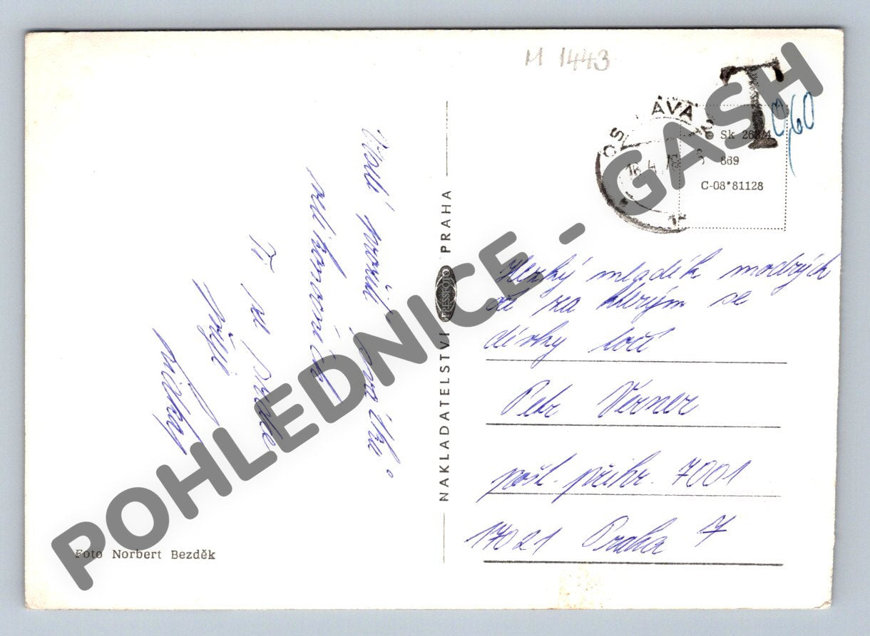 Pohlednice Velikonoční kočka a vejce Norbert Bezděk (M1443)