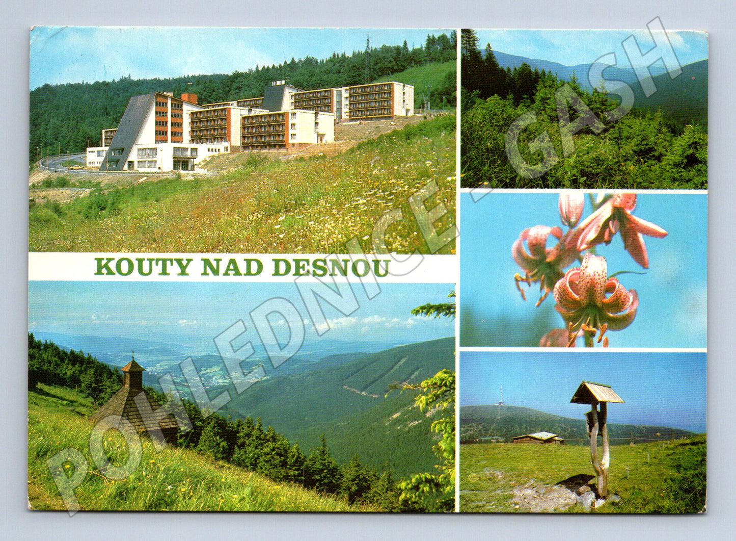 Pohlednice KOUTY NAD DESNOU Jeseníky (M14459)