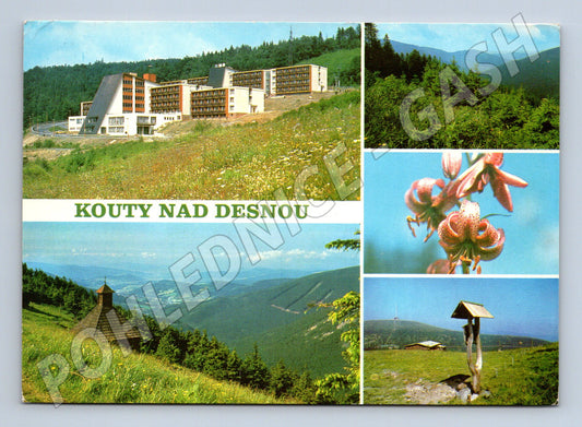 Pohlednice KOUTY NAD DESNOU Jeseníky (M14459)