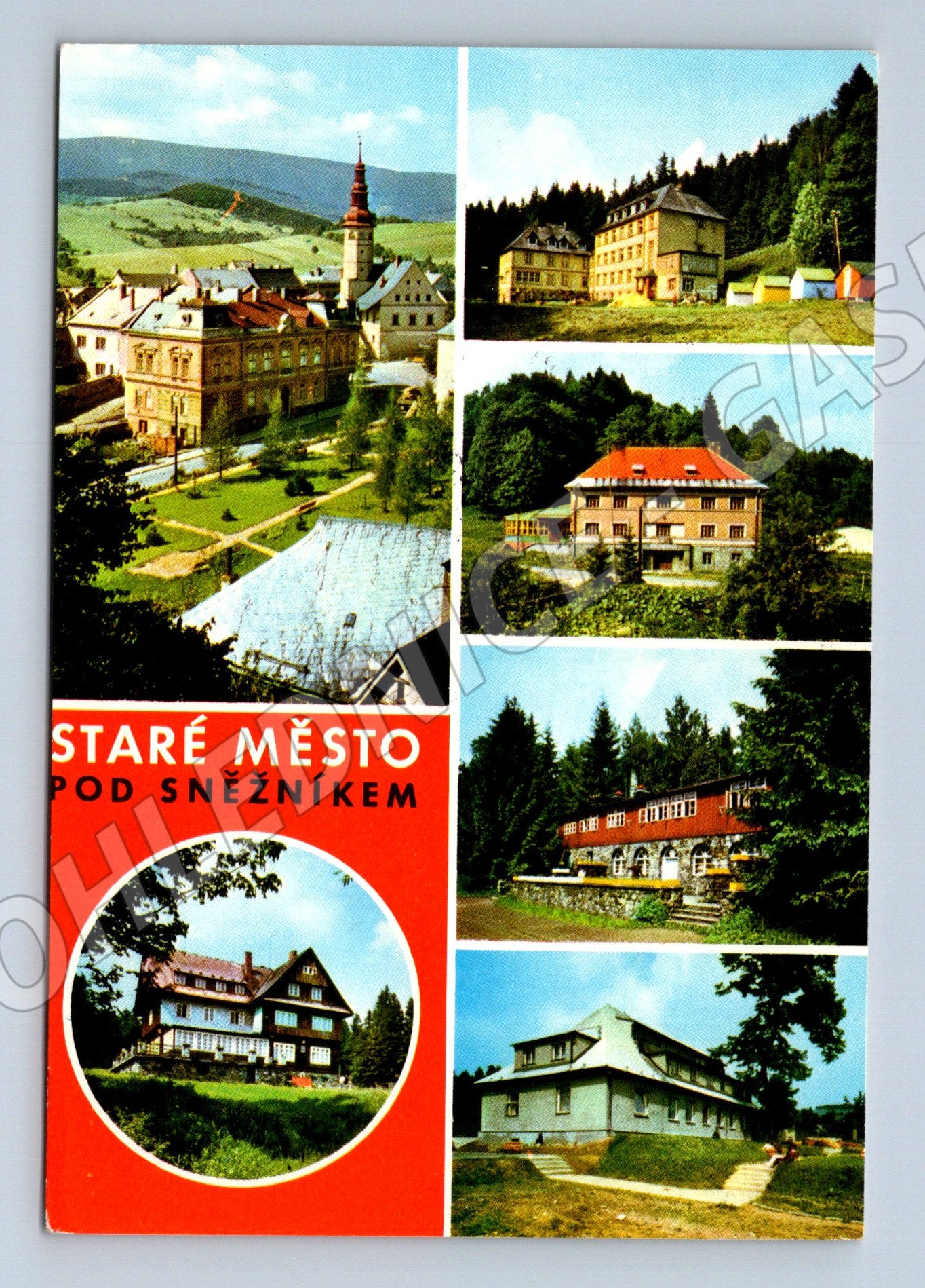 Pohlednice Staré Město pod Sněžníkem vícezáběrová (M14509)