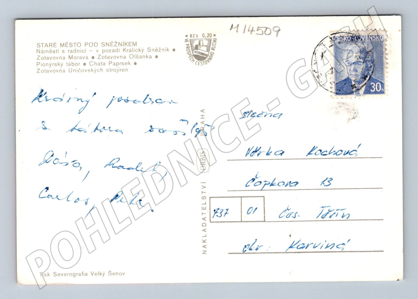 Pohlednice Staré Město pod Sněžníkem vícezáběrová (M14509)