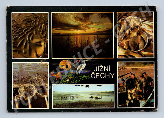 Pohlednice Jižní Čechy Rybníky Výlovy (M14670)