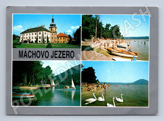 Pohlednice Máchovo jezero zaslaná (M14776)