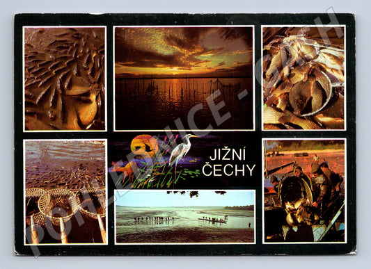 Pohlednice Jižní Čechy Rybníky a rybářství (M14777)
