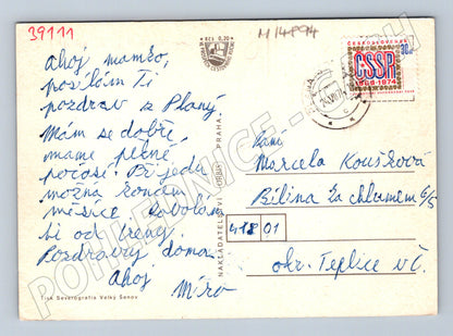 Pohlednice Planá nad Lužnicí vícevýhled (M14894)