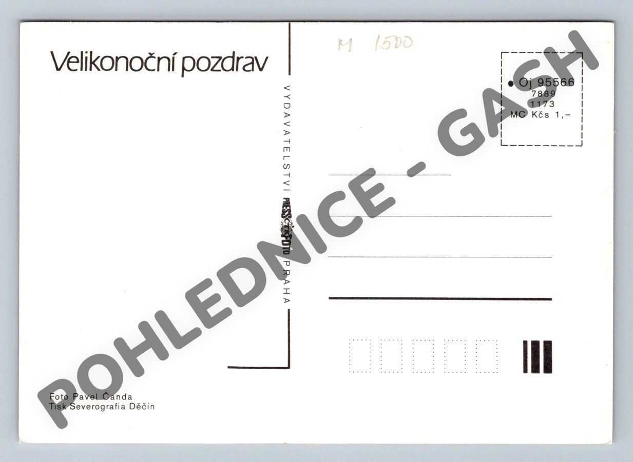 Pohlednice Velikonoční pomlázka kraslice a kočičky ČSSR (M1500)