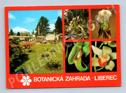 Pohlednice Botanická zahrada Liberec (M15023)